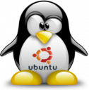 pinguino-tux-ubuntu-2013.png